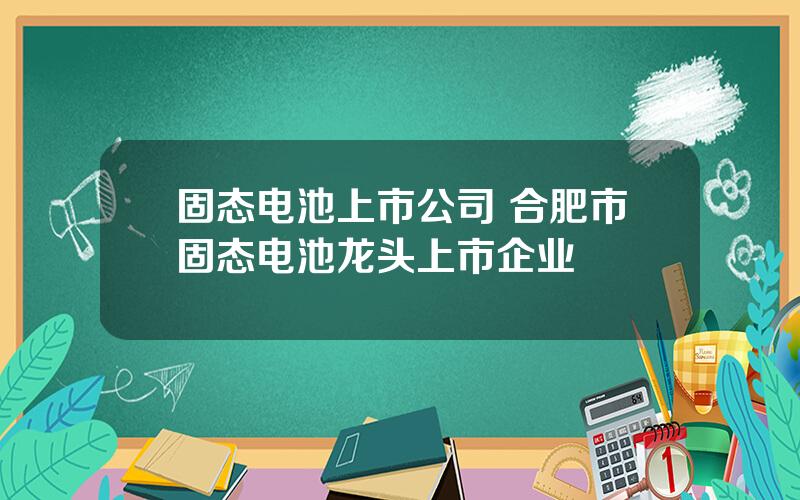 固态电池上市公司 合肥市固态电池龙头上市企业